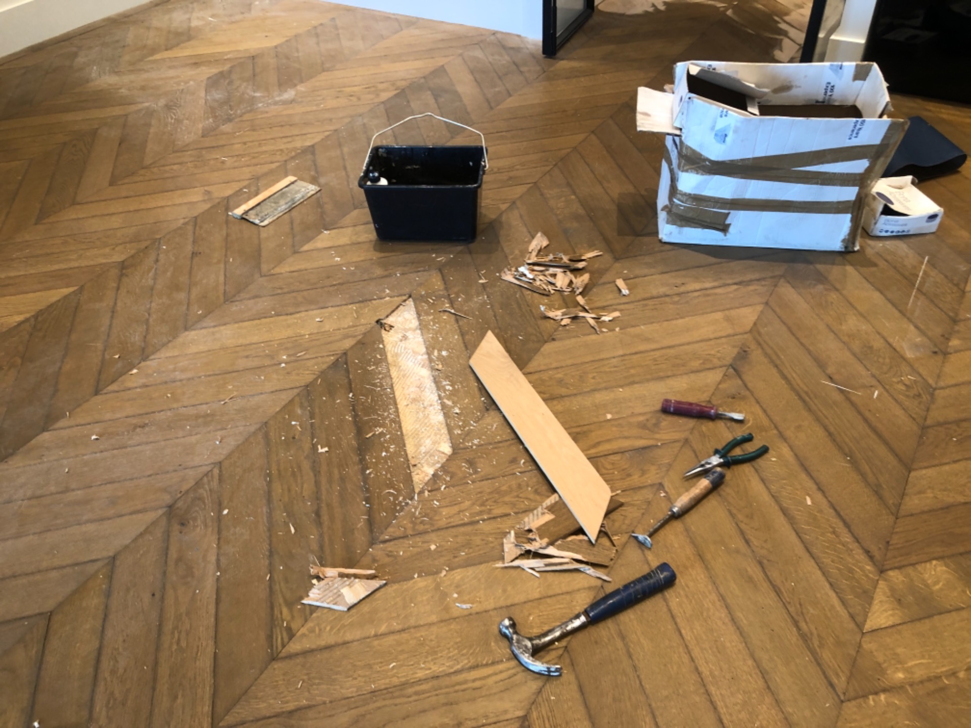 Eiken Hongaarse punt